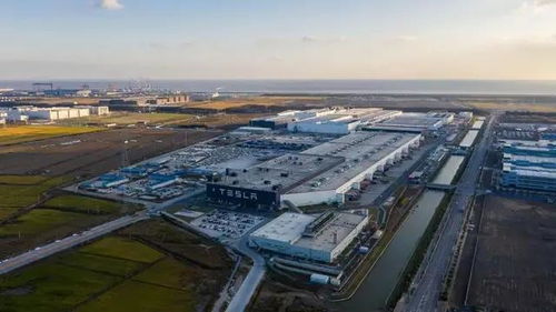 美好生活看信阳 特斯拉在中国第二超级工厂能否落户淮河新区